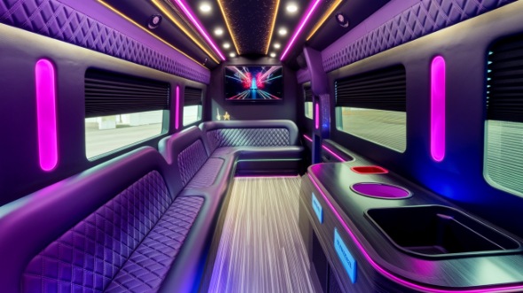 party bus rental interior cedar park